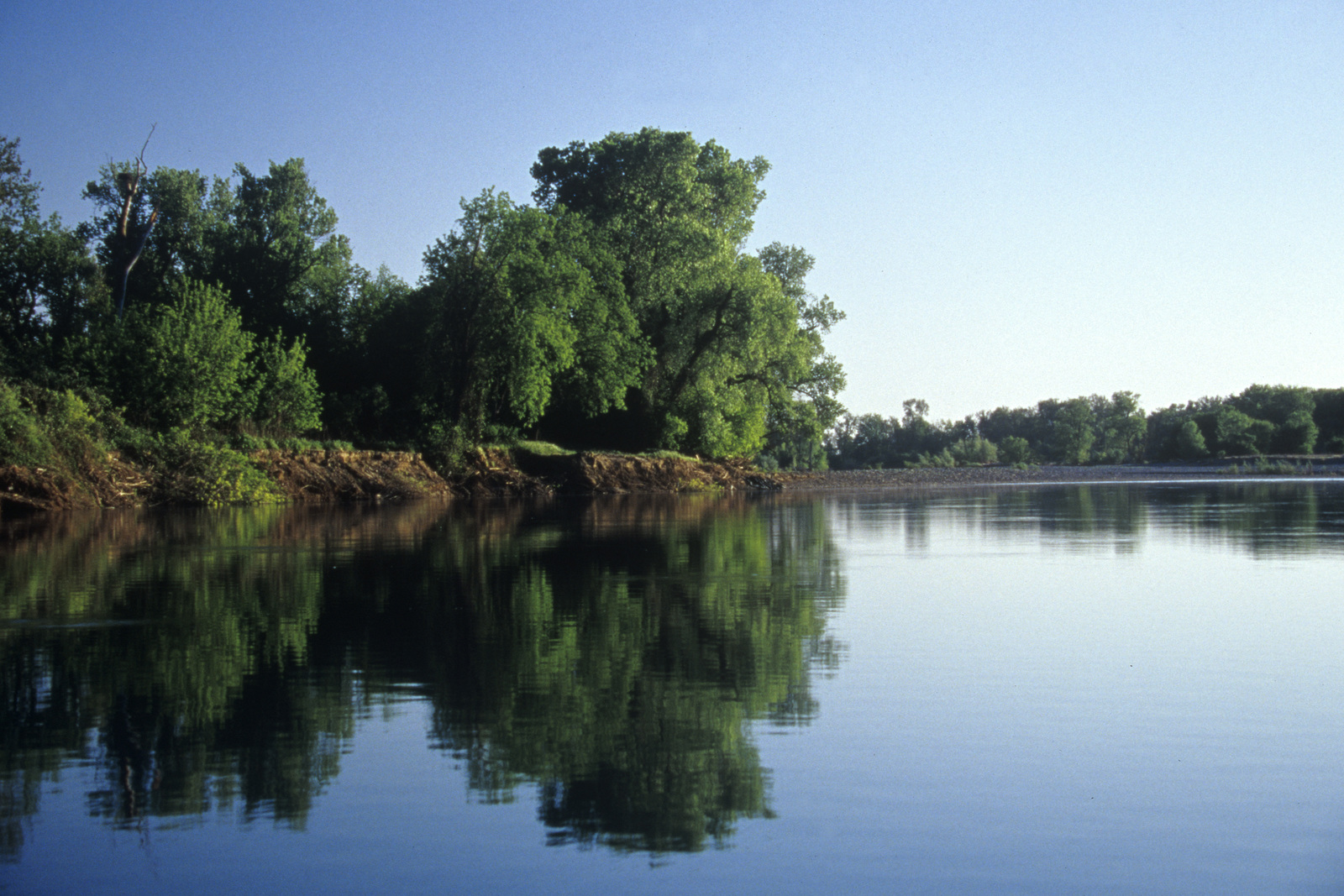 View of tranquil river lined by trees with clear sky overhead.